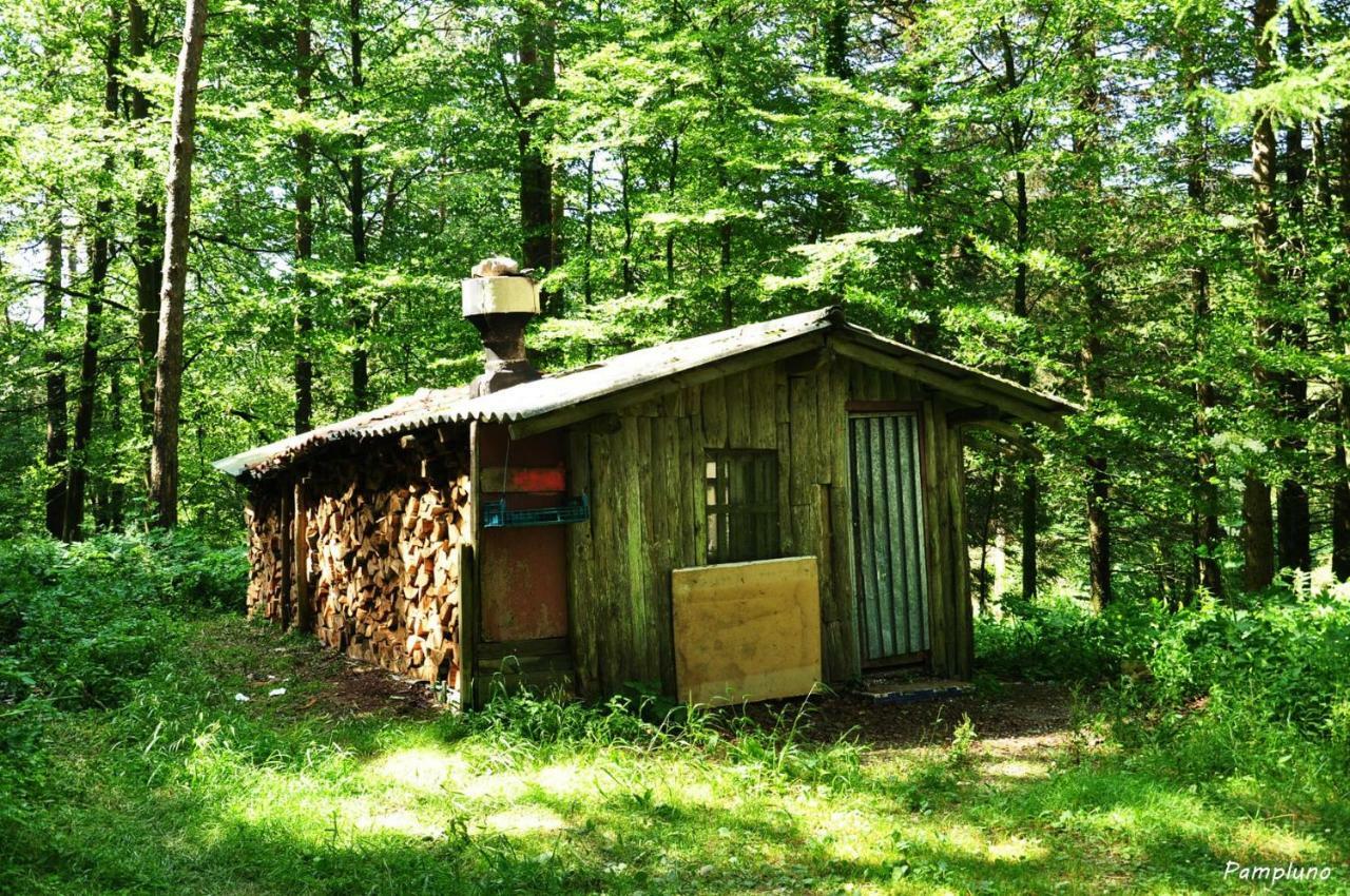 Casa Martiko Daire Eugi Dış mekan fotoğraf